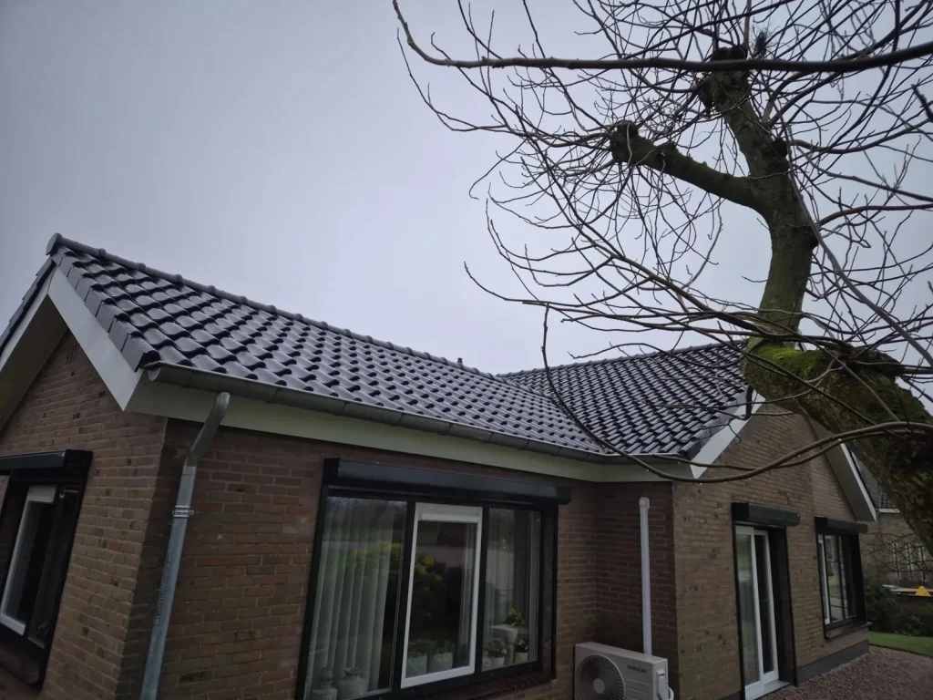 Vernieuwd pannendak